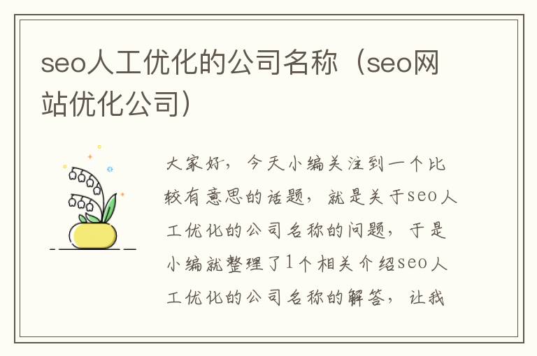 seo人工优化的公司名称（seo网站优化公司）