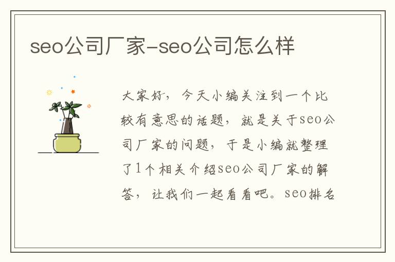 seo公司厂家-seo公司怎么样