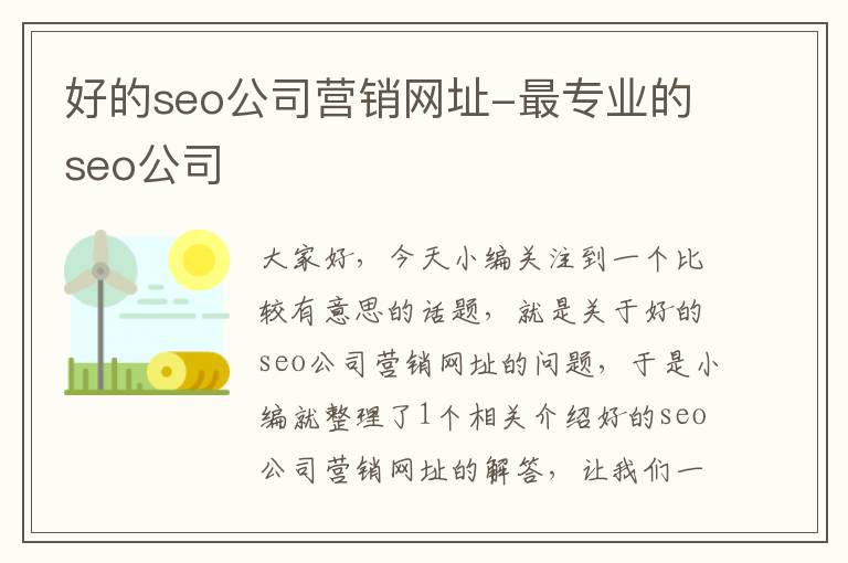 好的seo公司营销网址-最专业的seo公司