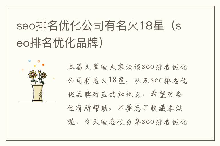 seo排名优化公司有名火18星（seo排名优化品牌）