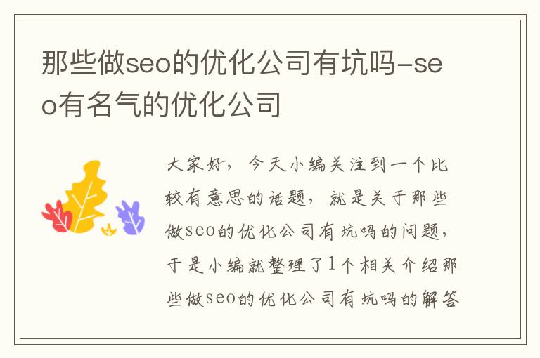 那些做seo的优化公司有坑吗-seo有名气的优化公司