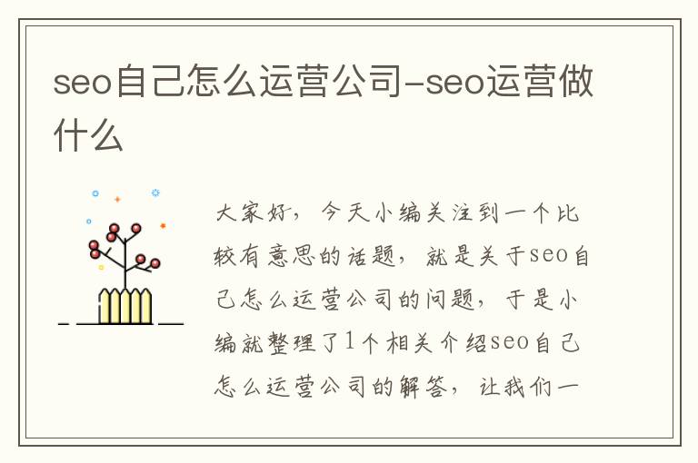 seo自己怎么运营公司-seo运营做什么