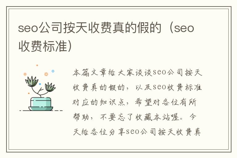 seo公司按天收费真的假的（seo收费标准）