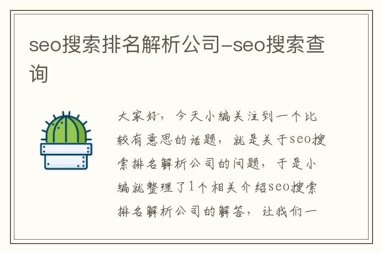 seo搜索排名解析公司-seo搜索查询