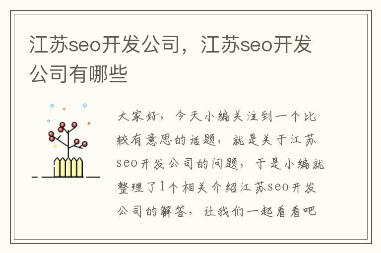 江苏seo开发公司，江苏seo开发公司有哪些