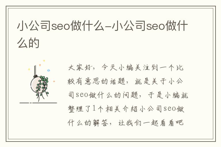 小公司seo做什么-小公司seo做什么的