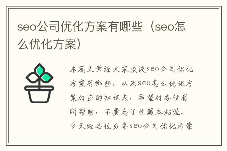 seo公司优化方案有哪些（seo怎么优化方案）