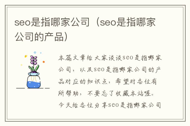 seo是指哪家公司（seo是指哪家公司的产品）