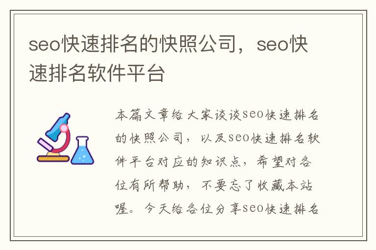 seo快速排名的快照公司，seo快速排名软件平台