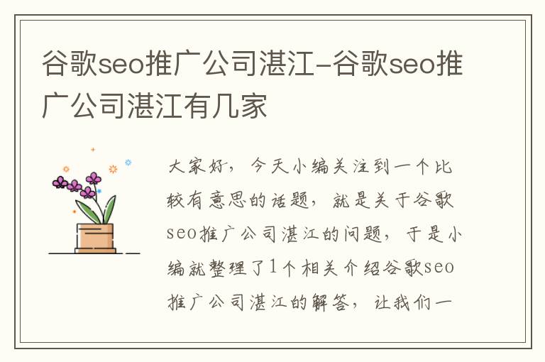 谷歌seo推广公司湛江-谷歌seo推广公司湛江有几家