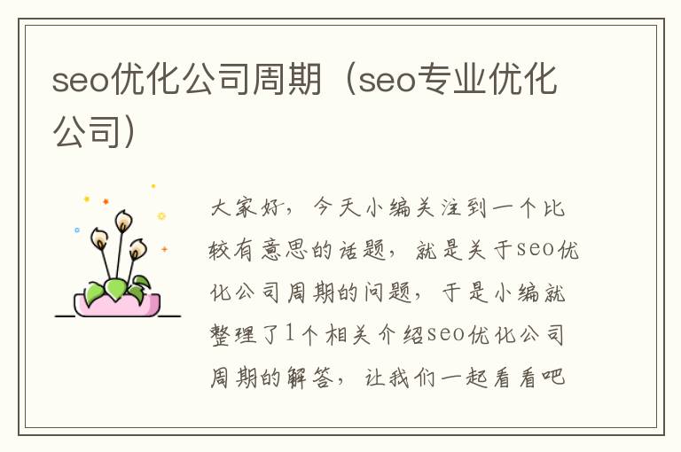 seo优化公司周期（seo专业优化公司）