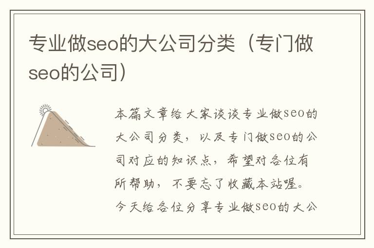 专业做seo的大公司分类（专门做seo的公司）