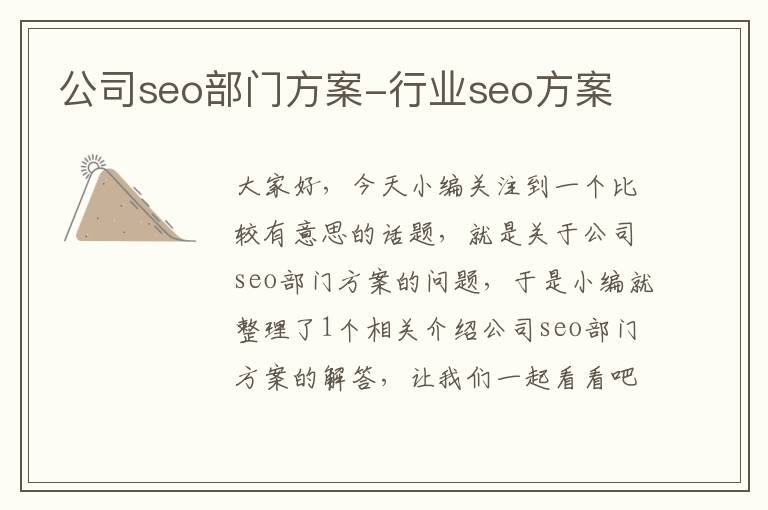 公司seo部门方案-行业seo方案