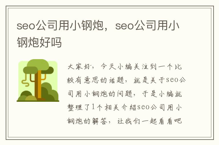 seo公司用小钢炮，seo公司用小钢炮好吗