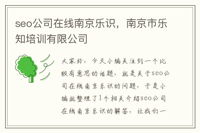 seo公司在线南京乐识，南京市乐知培训有限公司