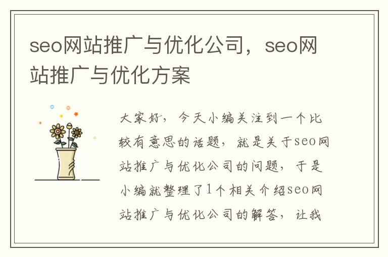 seo网站推广与优化公司，seo网站推广与优化方案