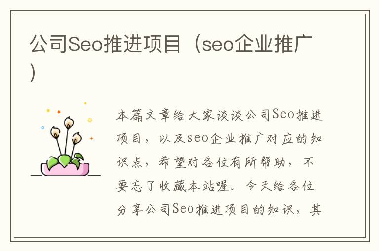 公司Seo推进项目（seo企业推广）