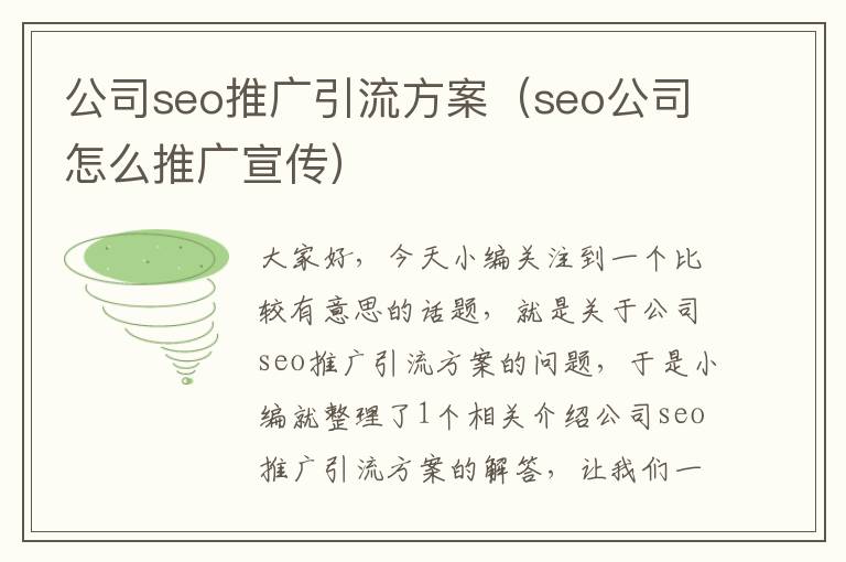 公司seo推广引流方案（seo公司怎么推广宣传）