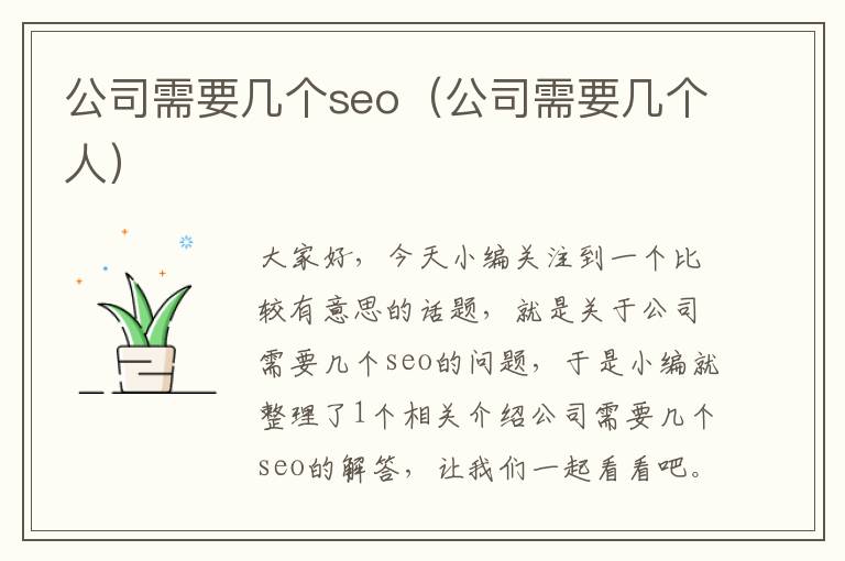 公司需要几个seo（公司需要几个人）