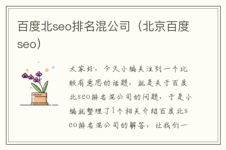 百度北seo排名混公司（北京百度seo）