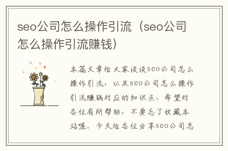 seo公司怎么操作引流（seo公司怎么操作引流赚钱）