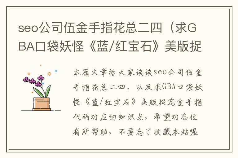 seo公司伍金手指花总二四（求GBA口袋妖怪《蓝/红宝石》美版捉宠金手指代码）