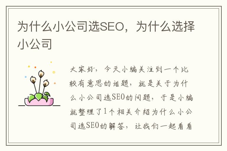 为什么小公司选SEO，为什么选择小公司