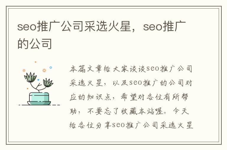 seo推广公司采选火星，seo推广的公司