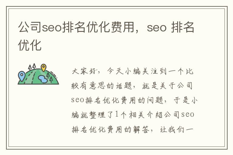 公司seo排名优化费用，seo 排名优化