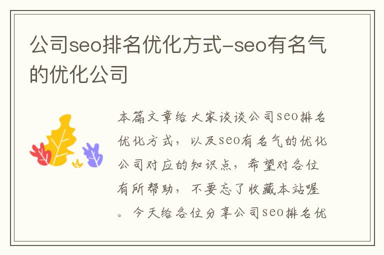 公司seo排名优化方式-seo有名气的优化公司