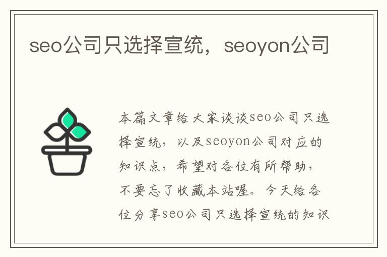 seo公司只选择宣统，seoyon公司