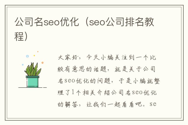 公司名seo优化（seo公司排名教程）