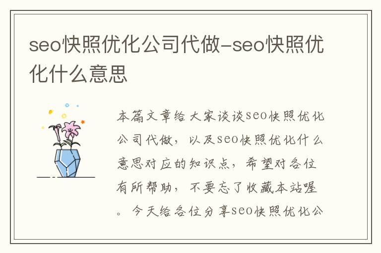 seo快照优化公司代做-seo快照优化什么意思