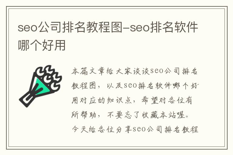 seo公司排名教程图-seo排名软件哪个好用