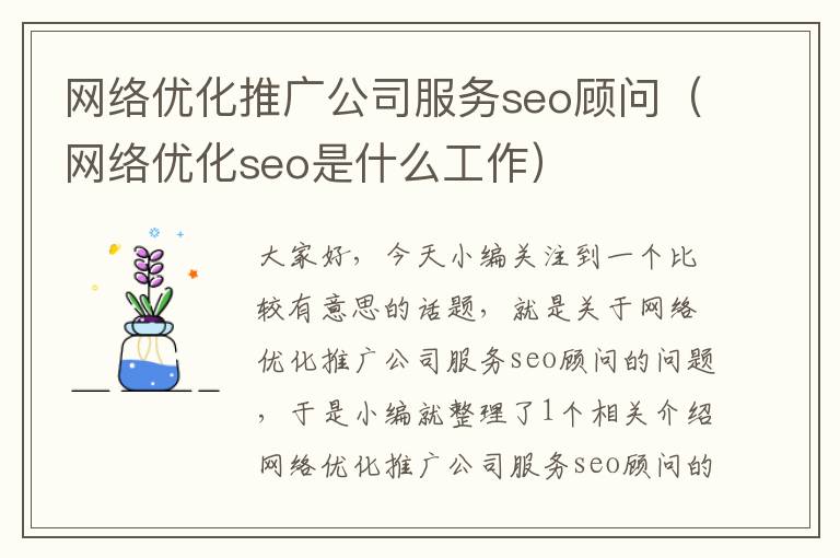 网络优化推广公司服务seo顾问（网络优化seo是什么工作）