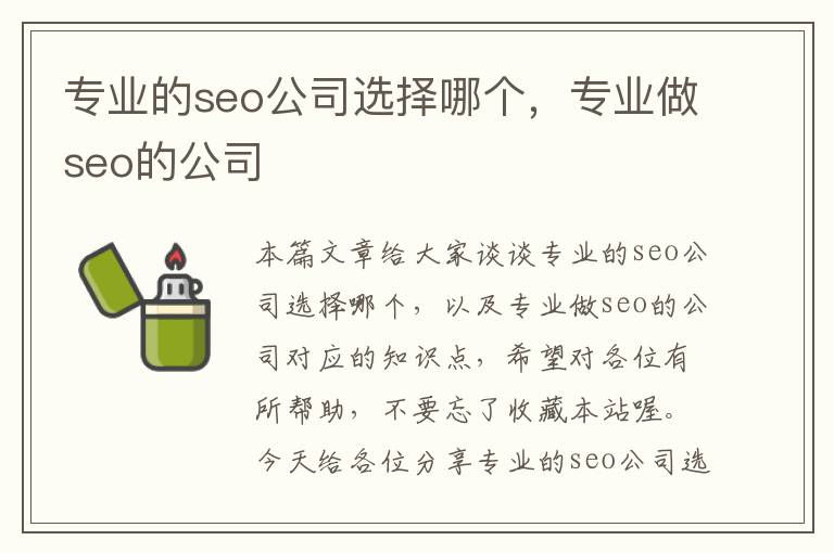 专业的seo公司选择哪个，专业做seo的公司