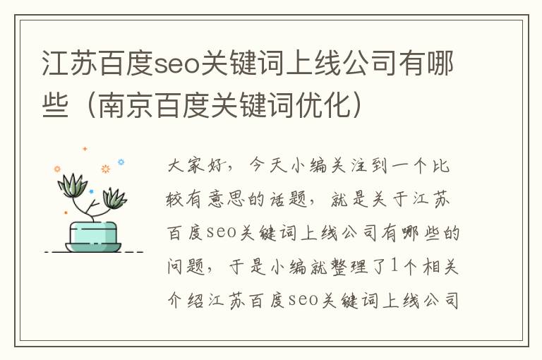 江苏百度seo关键词上线公司有哪些（南京百度关键词优化）