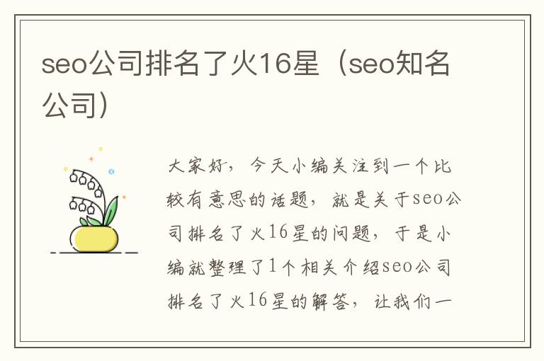 seo公司排名了火16星（seo知名公司）