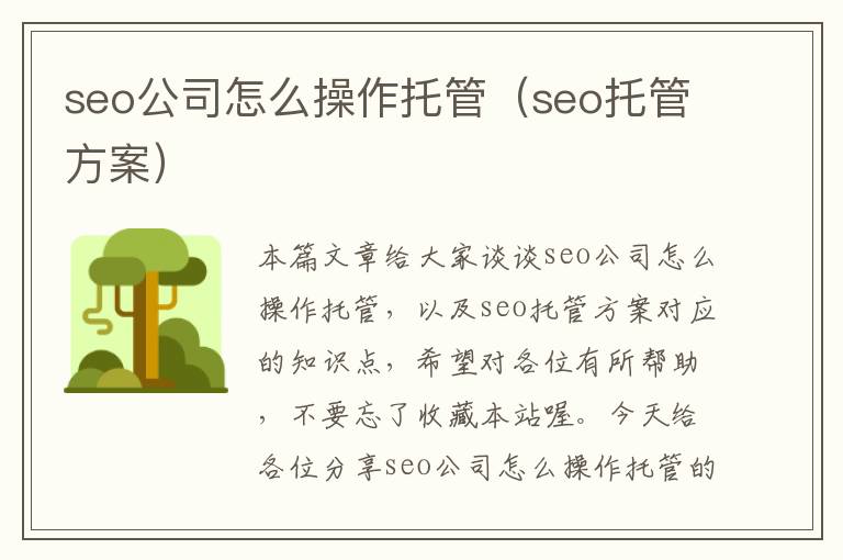 seo公司怎么操作托管（seo托管方案）