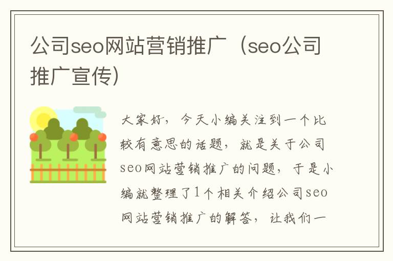 公司seo网站营销推广（seo公司推广宣传）