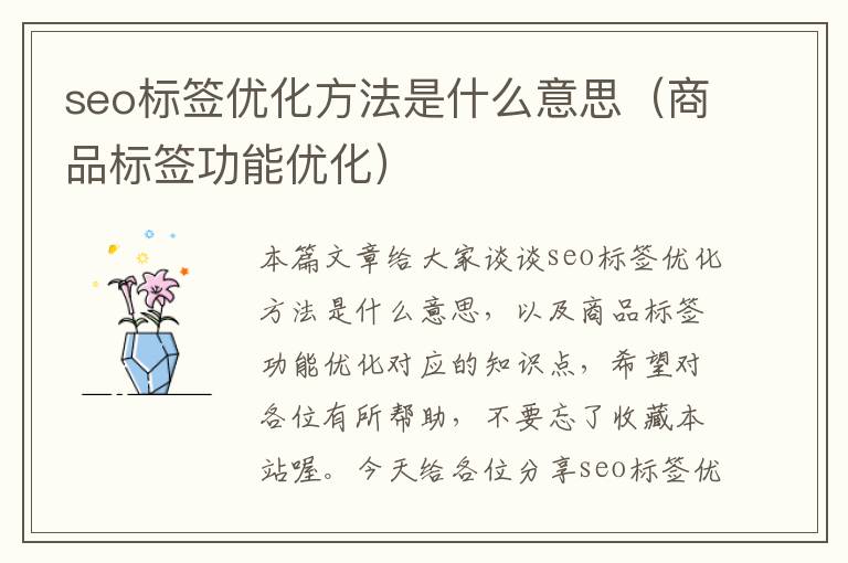 seo标签优化方法是什么意思（商品标签功能优化）