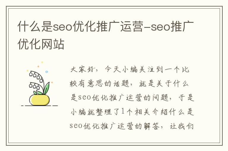 什么是seo优化推广运营-seo推广优化网站