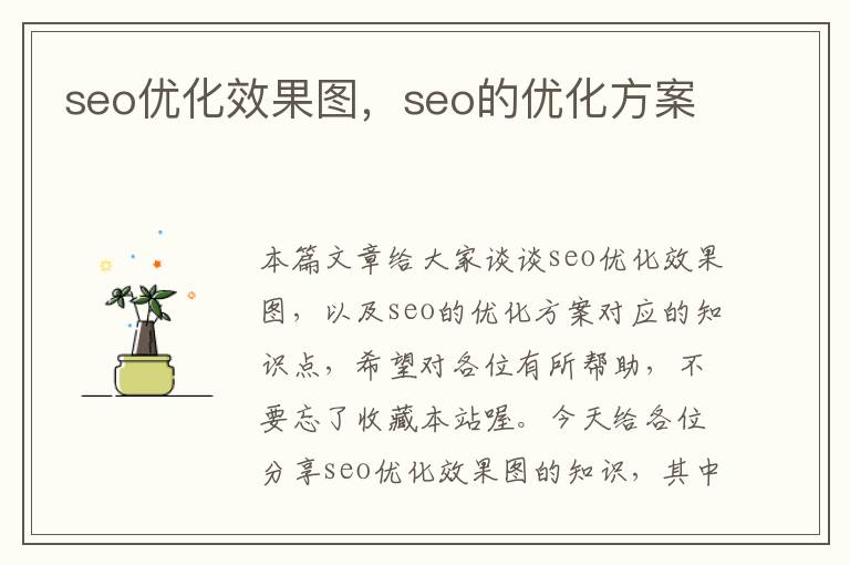 seo优化效果图，seo的优化方案