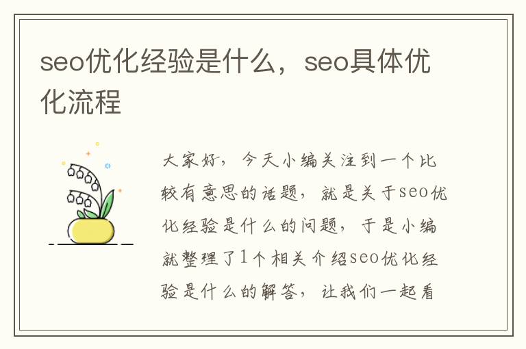 seo优化经验是什么，seo具体优化流程