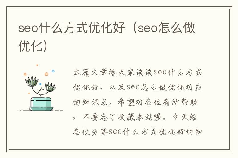 seo什么方式优化好（seo怎么做优化）