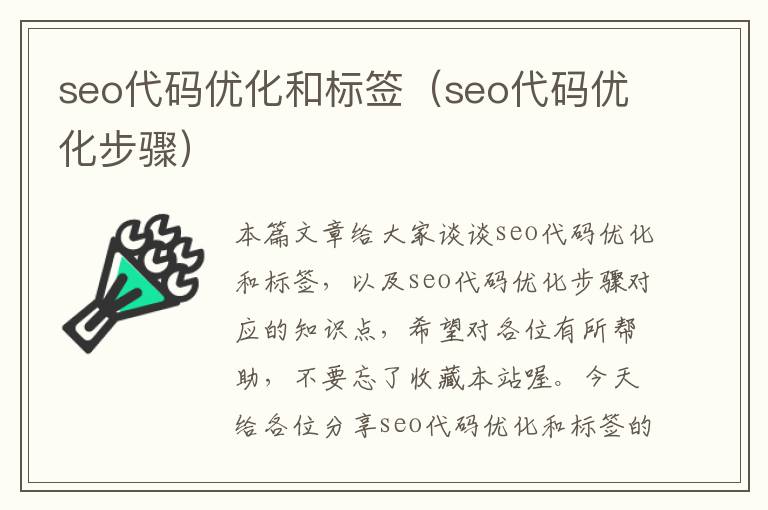 seo代码优化和标签（seo代码优化步骤）