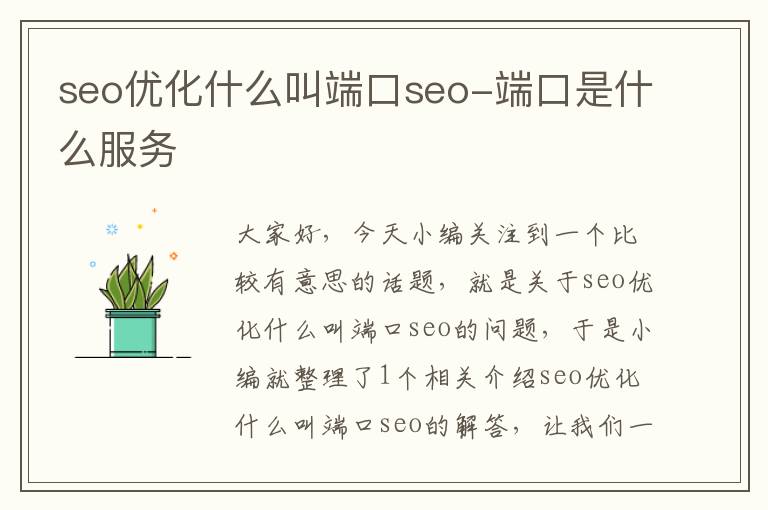 seo优化什么叫端口seo-端口是什么服务