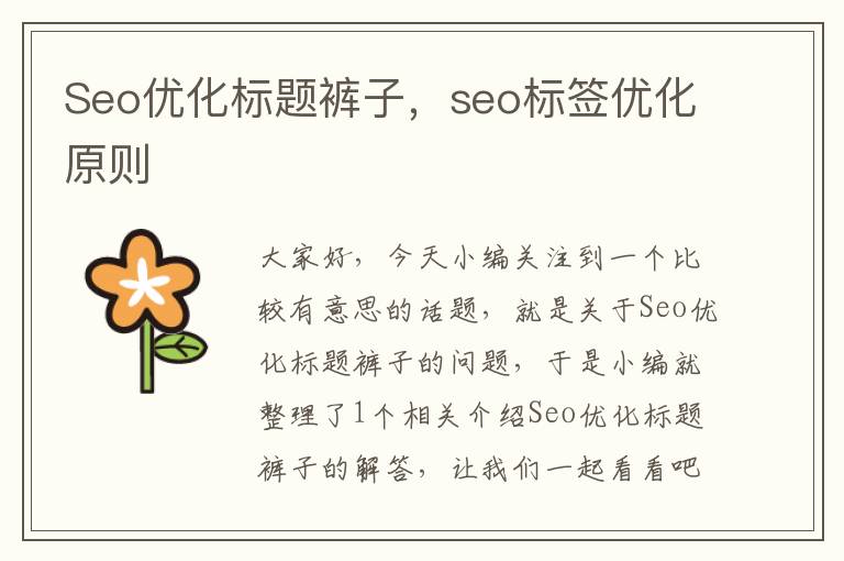 Seo优化标题裤子，seo标签优化原则