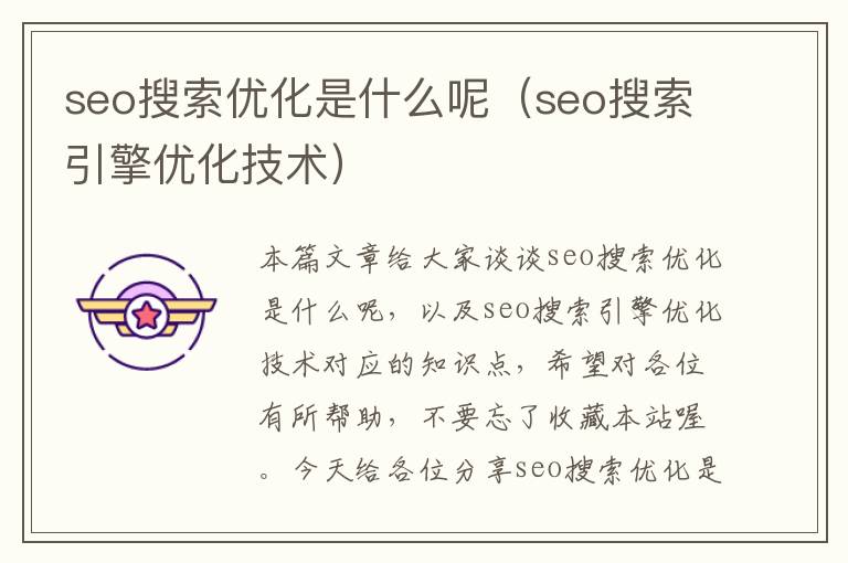 seo搜索优化是什么呢（seo搜索引擎优化技术）