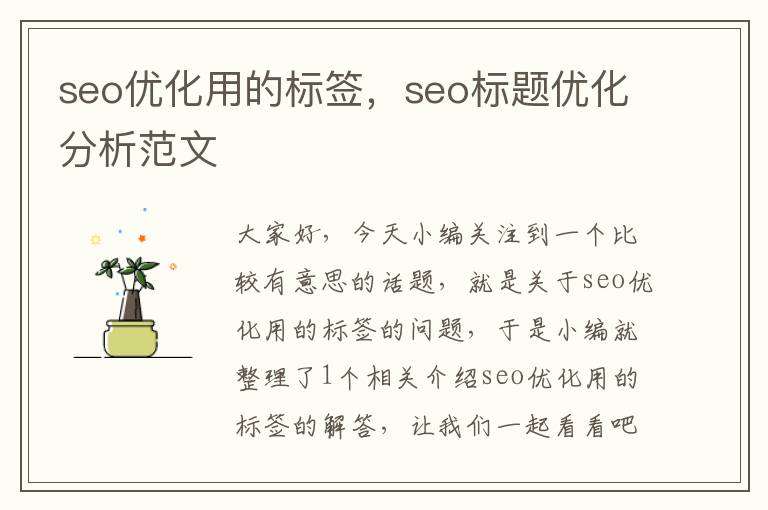 seo优化用的标签，seo标题优化分析范文